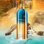Montale Aoud Lagoon - фото 53880