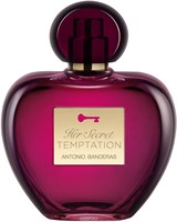 Antonio Banderas Her Secret Temptation - фото 58362