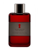 Antonio Banderas The Secret Temptation - фото 58366