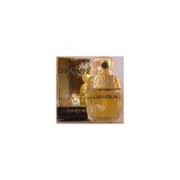 Yves Saint Laurent Champagne - фото 62622