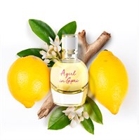 Lanvin A Girl In Capri - фото 63623