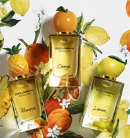 D&G Orange - фото 65701