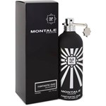 Montale Fantastic Oud