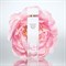Elizabeth Arden White Tea Wild Rose - фото 64772